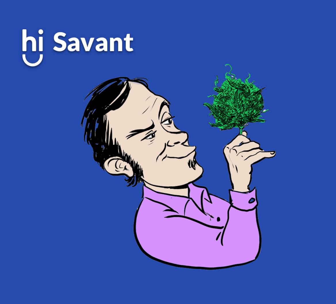 Hi Savant