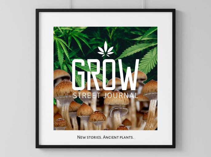 Grow Street Journal